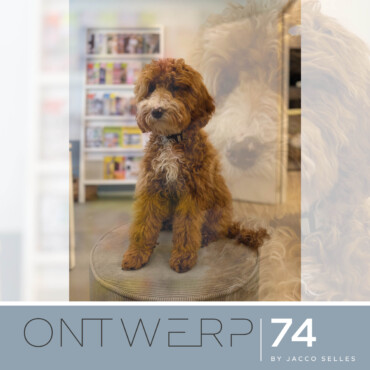 Ons nieuwste teamlid: Milo!