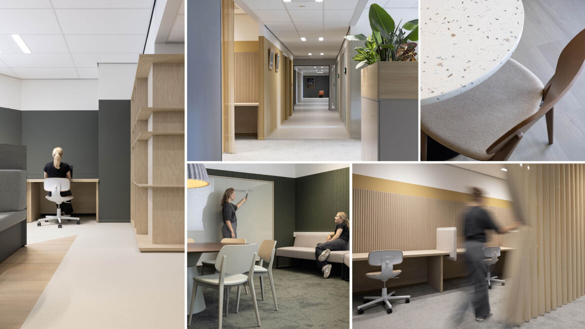 Uitgelichte Projecten Uitgelichte Projecten